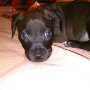 Meet your Posher, Jasmine